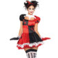 Harlequin Clown Costume